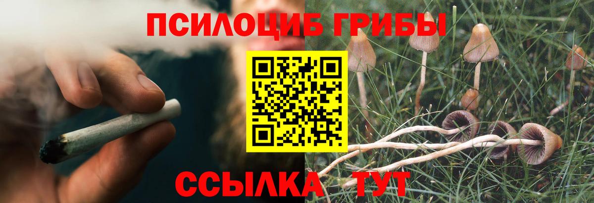 Бор  Псилоцибиновые грибы мицелий  Псилоцибиновые грибы GOLDEN TEACHER  Вход с VPN 